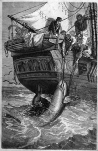 Pesca allo squalo. Incisione del XIX secolo. Collezione privata da Unknown artist