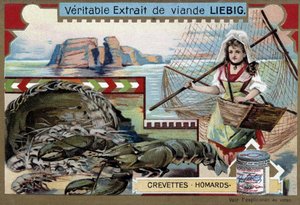 Gamberi e aragoste, con una giovane pescatrice, che porta il suo cestino e una grande rete - Cromolitografia Liebig