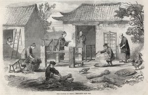 Produzione di seta in Cina e le varie fasi di fabbricazione. da Unknown artist