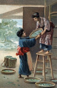Allevamento di bachi da seta in un magnete giapponese. Cromolitografia della fine del XIX secolo
