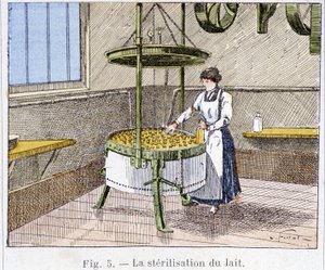 Sterilizzazione del latte - incisione, fine XIX secolo