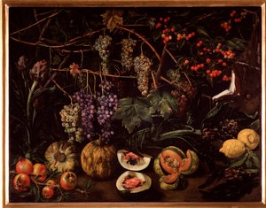 Natura morta con uva e zucche da Unknown artist