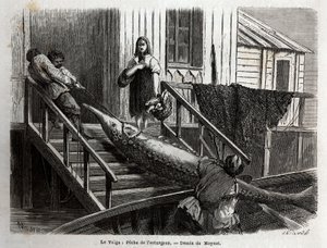Pesca dello storione alla foce del fiume Volga. Incisione per illustrare il viaggio sul Volga di M.Moynet, nel 1864, in 