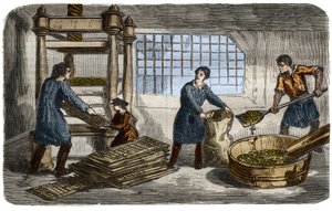 Produzione di zucchero: estrazione del succo dalla polpa di barbabietola. La polpa è imbustata in sacchi impilati sotto il vassoio di una pressa idraulica. Incisione del 1859 in 