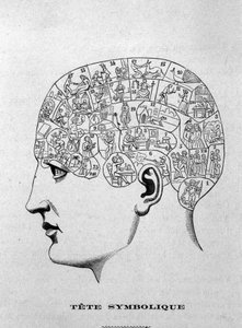 Testa simbolica. illustrazione dal libro di Charles Rouvin del 1873 "La Tête humaine, studi illustrati di frenologia e fisiognomonia applicati a personaggi famosi" Parigi 1873