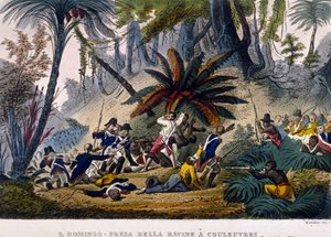 Presa della Ravine a Reuvres il 23/02/1802. La spedizione Leclerc, che circonda le truppe di François Dominique Toussaint, noto come "Toussaint-Louverture" da Unknown artist