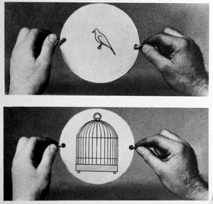 Taumatrope: nel 1825 John Ayrton Paris commercializzò il suo disco magico il taumatrope (ruota miracolosa), su un lato è disegnata una gabbia vuota, sull