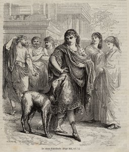 Il cane di Alcibiade