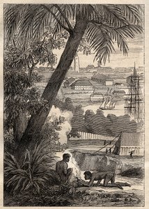 La spedizione nelle terre meridionali (1800-1803) di Nicolas Baudin (1754-1803): veduta di Sydney (Australia) - illustrazione da "I grandi marinai del XVIII secolo"