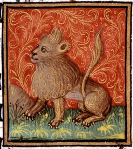 Il Leone. Miniatura di un oroscopo. Manoscritto del XV secolo. Bibl. Trivulziana, Milano