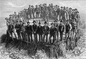 La base del "Sequoia Gigantea" è destinata al Museo Americano di Storia Naturale di New York (New York), con i 52 lavoratori che hanno lavorato per la sua demolizione (dopo una fotografia). Incisione in "La Nature: revue des sciences et de leurs applicatio da Unknown artist