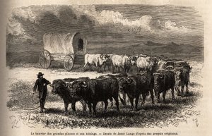 Il grande bue delle pianure e il suo tiro. Incisione per illustrare il viaggio nel far west americano, di M. L. Simonin, nel 1867, pubblicato in "Le tour du monde, nouveau journal des voyages", a cura di Edouard Charton da Unknown artist