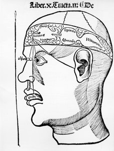 Il cervello - in "Il corpo", libro X