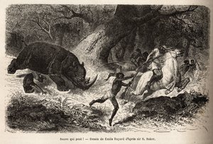 La carica del rinoceronte che rovescia e intrappola i cacciatori, durante la ricerca dell