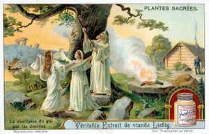 La raccolta del vischio da parte dei druidi - Etichetta pubblicitaria Liébig. Cromolitografia XIX secolo da Unknown artist