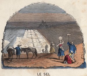 La raccolta del sale. Illustrazione del XIX secolo. Collezione Bianchetti da Unknown artist