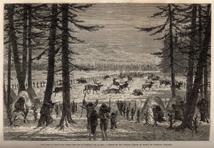 Il corallo per la caccia alle renne nel Co-Yukon (tribù indiana dell