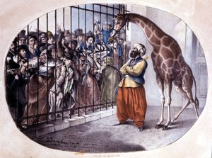 La folla curiosa si precipitò a vedere una giraffa dietro un cancello. Litografia di Danhaaren. 1829 da Unknown artist