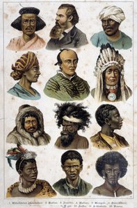Le diverse razze umane - in "Natural histories of mammals", ed. Schreiber