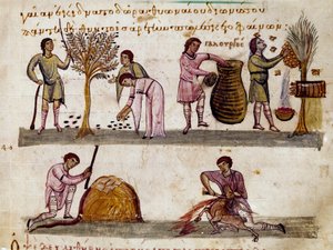 La raccolta delle olive, la produzione del miele e la macellazione degli agnelli. Miniatura da 