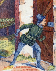 Il figlio del re vide la principessa. Illustrazione per "Pelle d