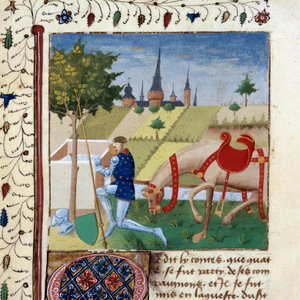 Il cavaliere della Tavola Rotonda Gauvain, nipote di Re Artù vicino a una fontana