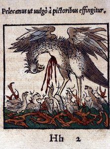 La leggenda del pellicano: dona il suo sangue e le sue viscere per nutrire i suoi piccoli. Da Historiae animalium di Konrad Gesner, Tiguri da Unknown artist