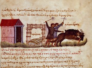 I pastori cercano di difendere la bestia dall