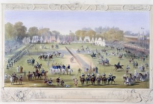 Panoramica del torneo - in "Cavaliere d