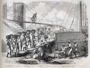 Trasporto di carbone a bordo di navi a vapore a Kingston (Giamaica) - Caricamento del carbone a Kingston - Giamaica - 1866 Incisione da "L