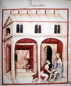 Trattato di medicina "Tacuinum sanitatis" del XIV secolo: l