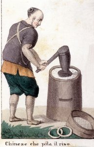 Un cinese che ruba il riso - in Il costume universale di tutti i popoli del mondo da Unknown artist