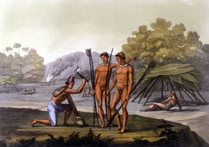 Immagine sconosciuta
