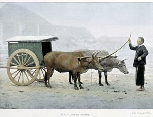 Carrozza vietnamita, "Intorno al mondo", fine XIX secolo da Unknown artist