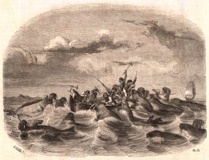 Veduta di un gruppo di marinai inglesi che inseguono un branco di trichechi nel 1818 al largo della costa di Spitsbergen
