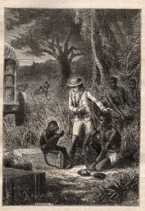 Viaggio nella Caffreria (Sudafrica) (1781) di François Levaillant (1753-1824): Levaillant e la sua scimmia degustatrice Maestro Kees, che assaggia i frutti e le radici per verificare che siano commestibili - illustrazione tratta da 