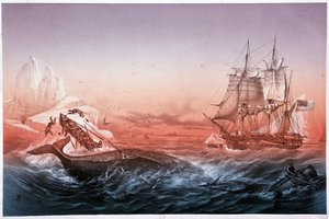 Nave baleniera non riesce a salvare le sue barche capovolte