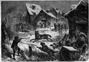 Caccia al lupo nel villaggio di Saliers, Bouches du Rhone (13), 31 dicembre 1860. Incisione in 