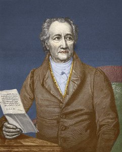 Wolfgang Goethe (1749-1832). da Unknown artist