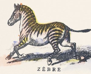 Z: zebra da Unknown artist