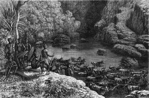 Zululand in Africa: poiché la foresta non offre le risorse necessarie, la tribù Zulu è obbligata a scendere nelle pianure dove coltivano e allevano bestiame. Incisione in "La Nature" da Unknown artist
