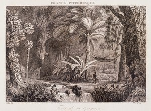 Incisione raffigurante la colonia francese della Guyana in Sud America 1850 da Unknown artist