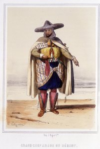 Grande capo arabo del deserto durante la seconda metà del XIX secolo da Unknown artist