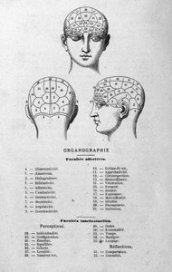 Illustrazione dal libro di Charles Rouvin del 1873 Organographie La Tête humaine, studi illustrati di frenologia e fisionomia applicati a personaggi famosi, Parigi 1873