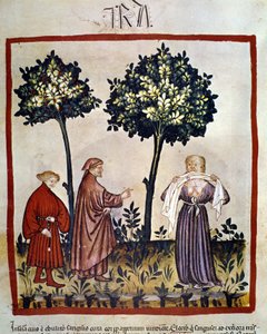 Rabbia o persona arrabbiata che stringe un tessuto tra i denti. Miniatura del XIV secolo del "Tacuinum Sanitatis", Vienna, Biblioteca Nazionale da Unknown artist