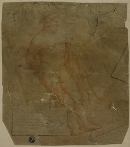 Ercole