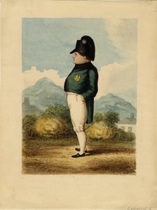 Napoleone Bonaparte sull