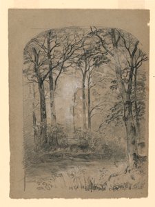 Disegno, Studio di un bosco, 1865-70 da Unknown artistUnknown artist