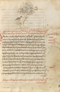 Un uccello seduto su un albero da Unknown artist