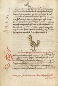 Una gallina